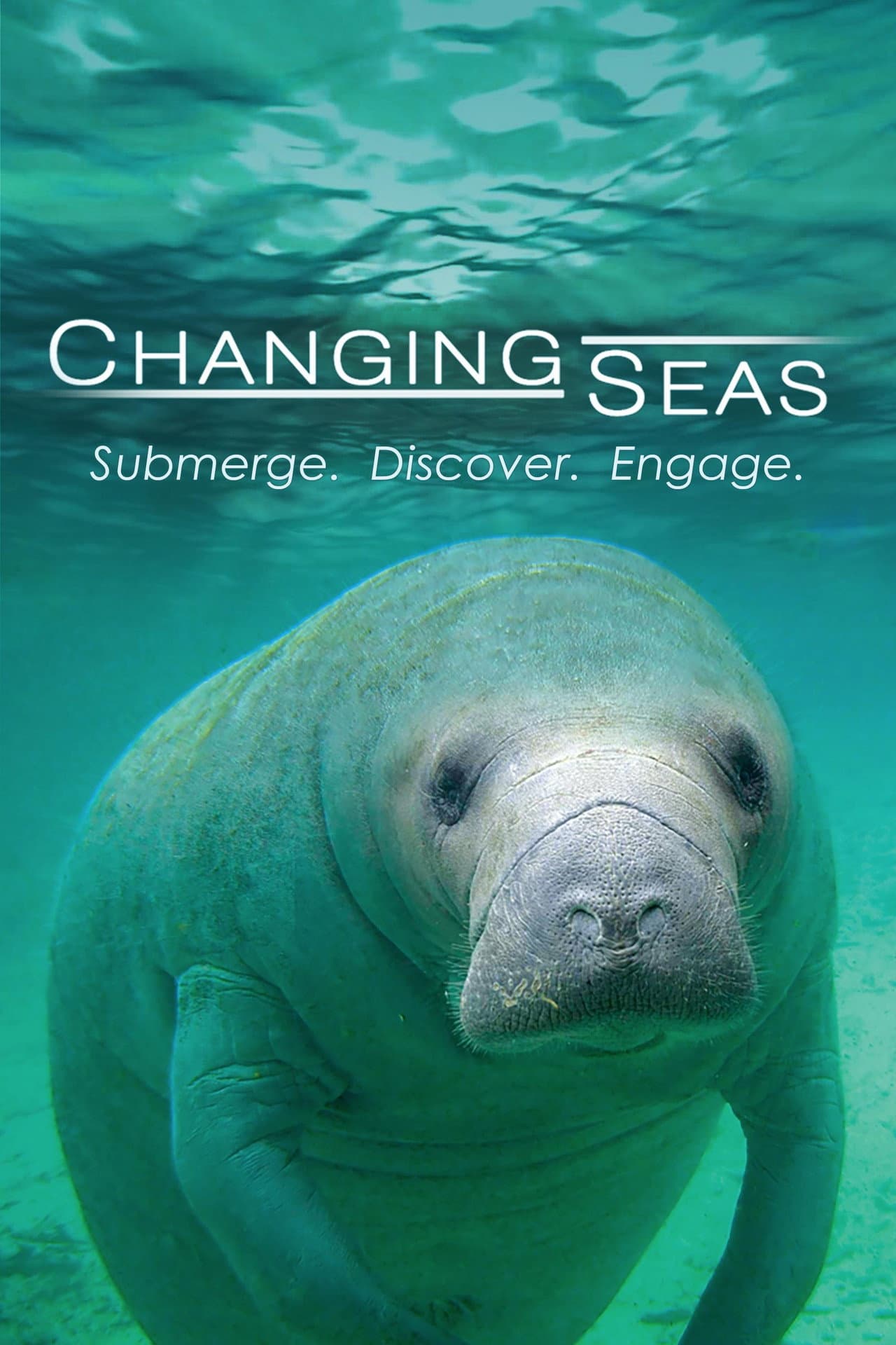 Changing Seas preview 2