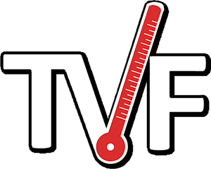 The Viral Fever