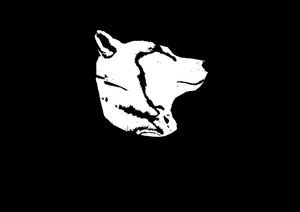 HASUKĪ PRODUCTIONS