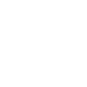 Mad Gene Media