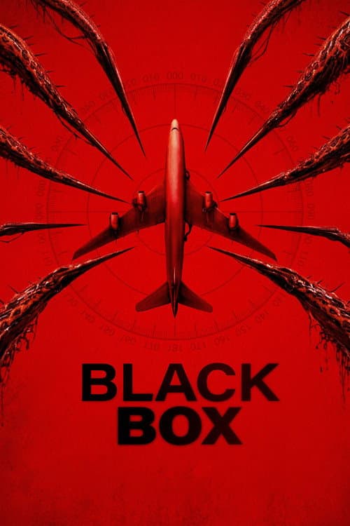 Black Box (Flight 298)