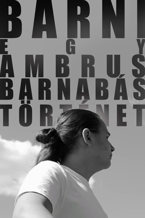 BARNI: A Barnabás Ambrus Story