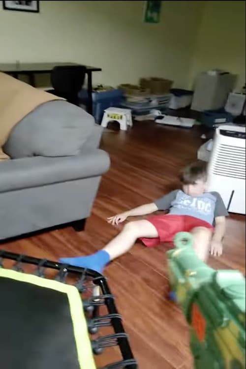 Fake Guns