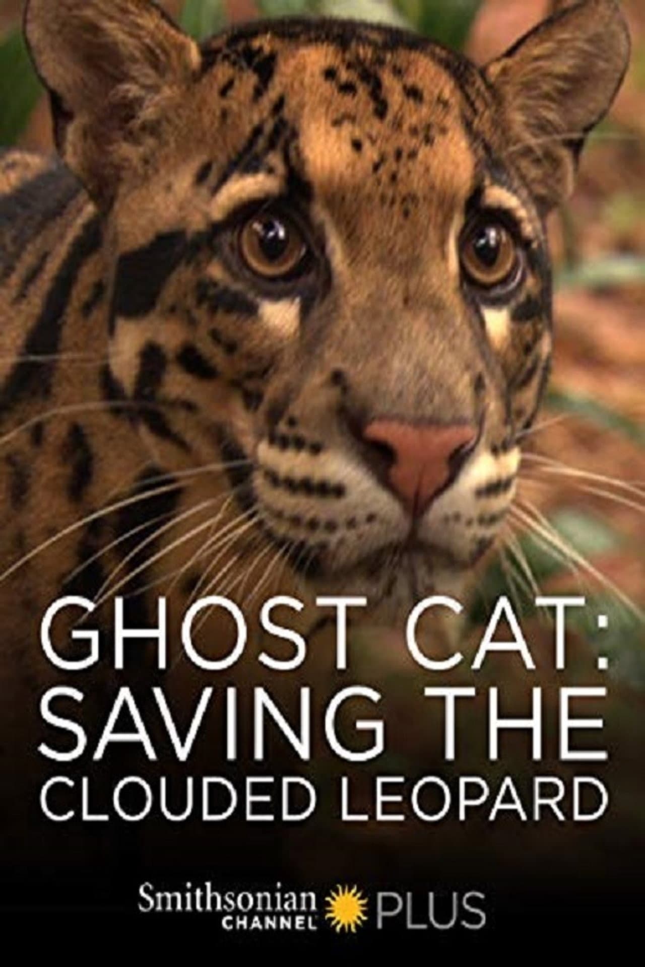 Ghost Cat: Saving the Clouded Leopard preview 1